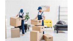 Best professional packers and movers in Dubai UAE_3 HKMOVERS.AE