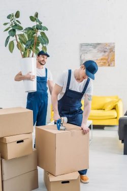 Best single item movers in Dubai and UAE_6 HKMOVERS.AE