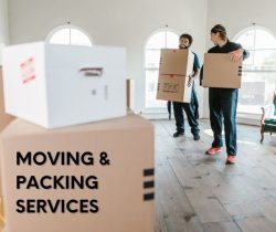 Best Single item movers in Dubai Mall-2 HKMOVERS.AE