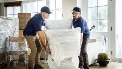 what you should look for in a moving company in Dubai ? 2